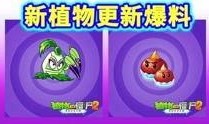 新植物预告爆料视频,神秘植物即将登陆游戏世界